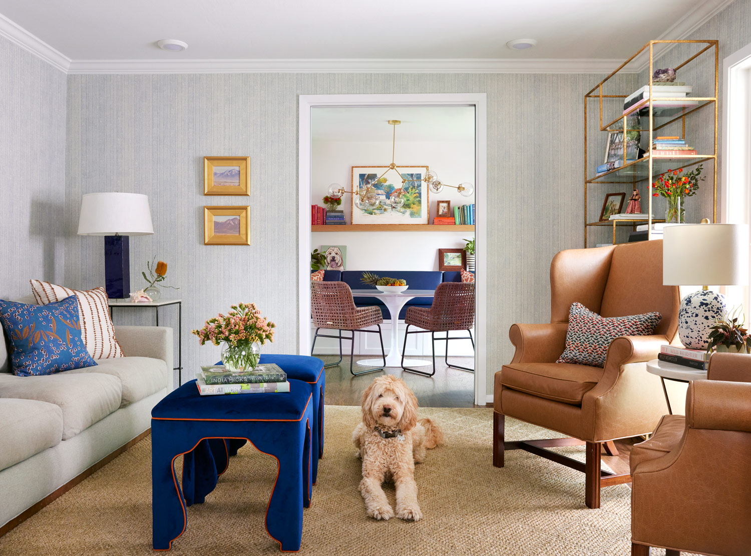 Dog in stylish living room in Texas by interior photographer Buff Strickland