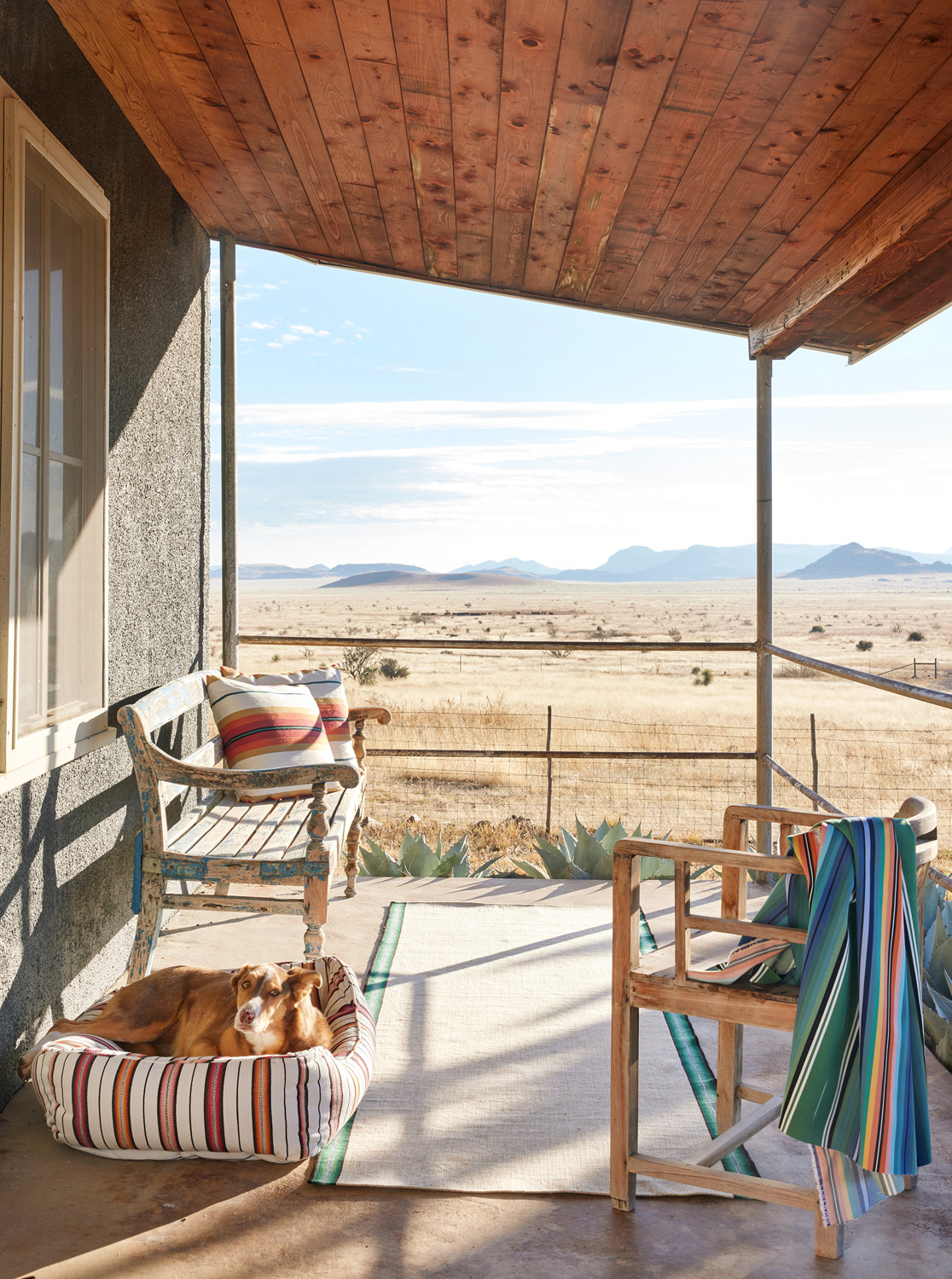 Perennial fabrics at the home of Liz Lambert in Marfa, Texas by Austin based lifestyle photographer Buff Strickland